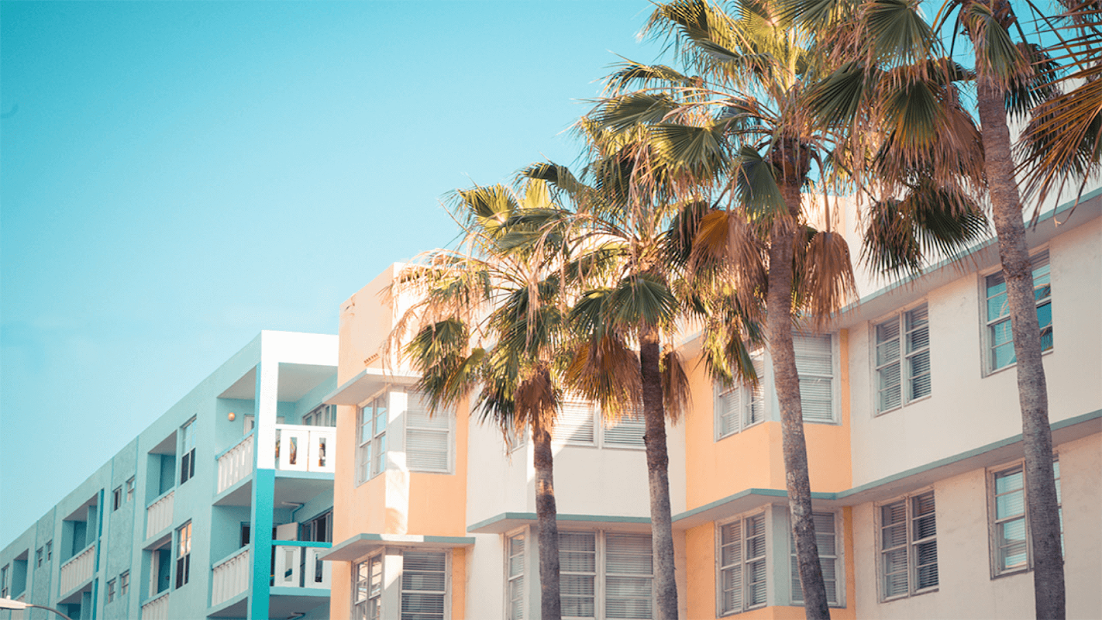 Pastel-colored apartment buildings with large windows and balconies, lined with tall palm trees under a clear blue sky—an inviting scene often glimpsed during Miami Food Tours.